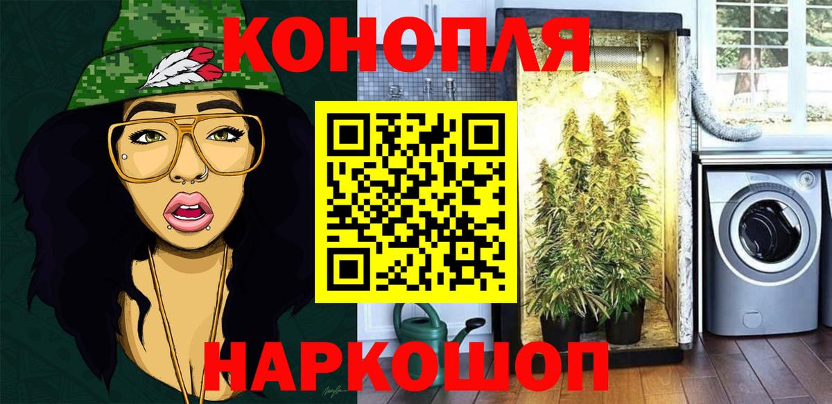 Каннабис White Widow  Шишки марихуана THC 21%  Костомукша  Бошки Шишки сатива  Бошки Шишки семена  Вход с VPN 